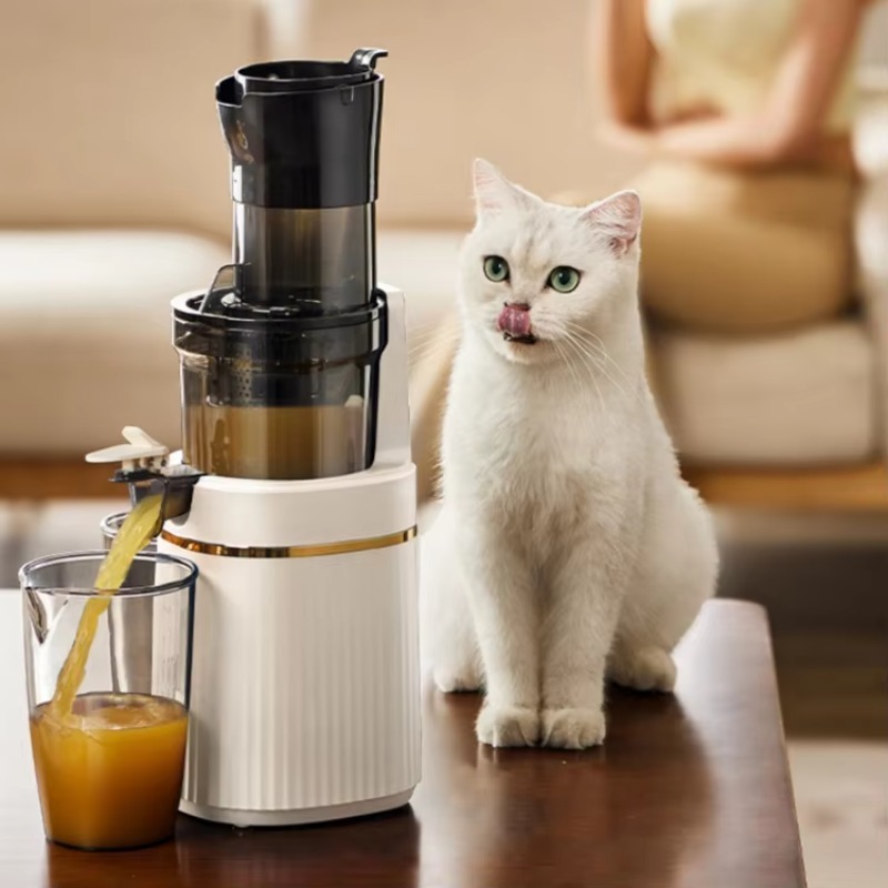 Juicer Cold Press Slow - Langsam Mahlender Kaltpress-Entsafter Ganzfrucht-Extraktor Hoher Saftanteil