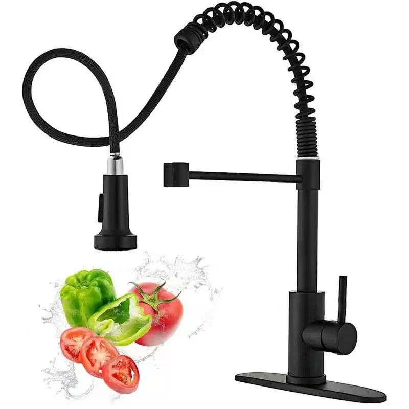 Kitchen Appliances White - Edelstahl-Küchenarmatur mit Einlochmontage, ausziehbarer Brause, Küchenspülenmischer,