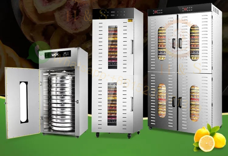 Elektrischer Lebensmittel-Dehy – Dehydrator Tray Electric Bewertung und Preis