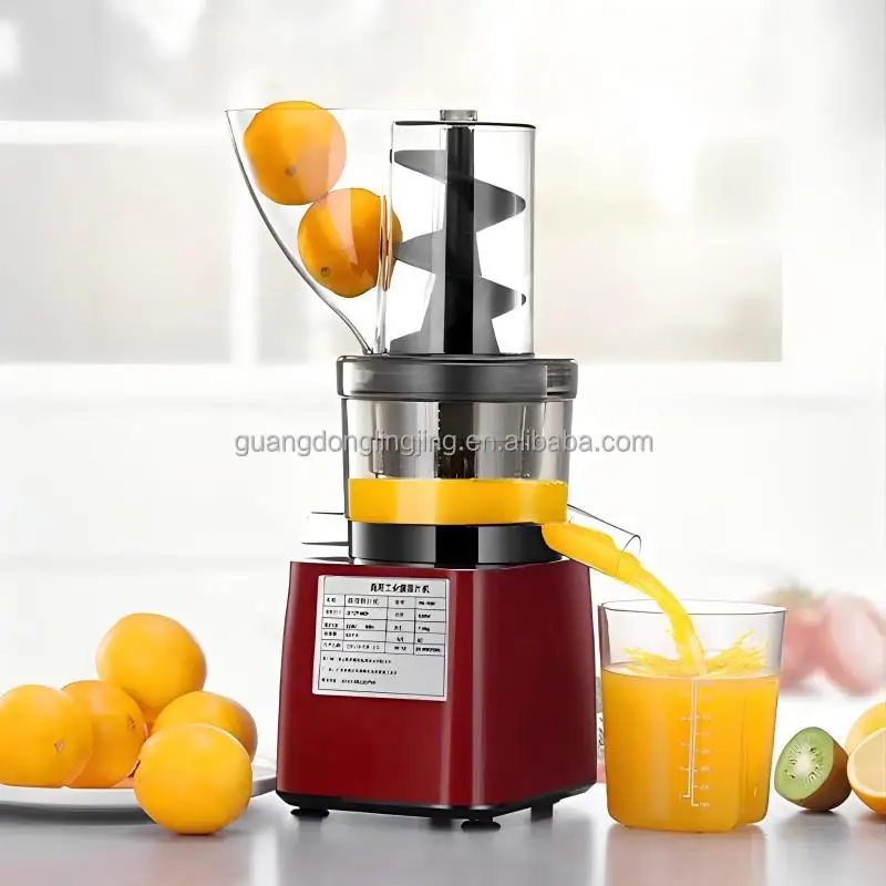 300 W 4'72'' Freisprech-Entsaf – Juicer Cold Press Slow Bewertung und Preis