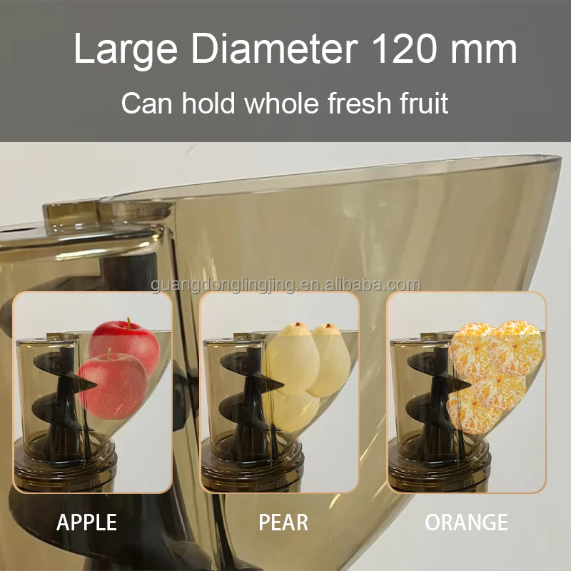 300 W 4'72'' Freisprech-Entsaf – Juicer Cold Press Slow Bewertung und Preis