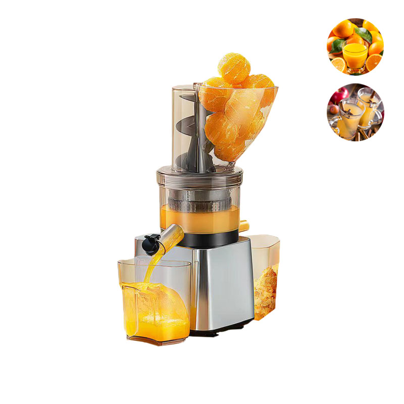500W Heißer Verkauf Silberner  – Juicer Cold Press Slow Bewertung und Preis