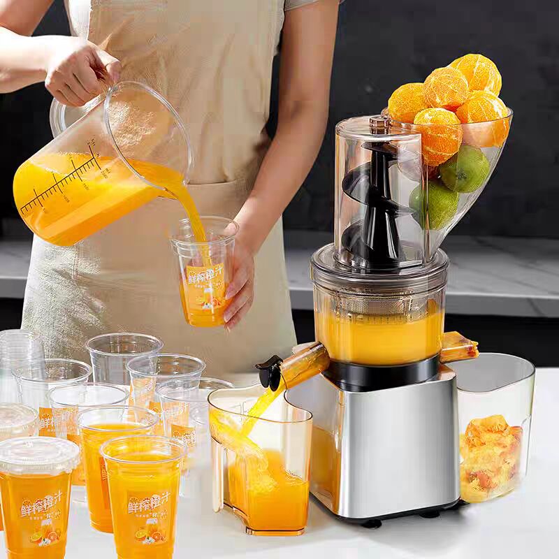500W Heißer Verkauf Silberner  – Juicer Cold Press Slow Bewertung und Preis