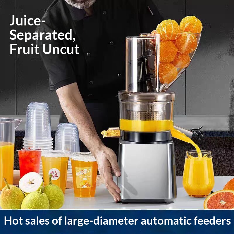 500W Heißer Verkauf Silberner  – Juicer Cold Press Slow Bewertung und Preis