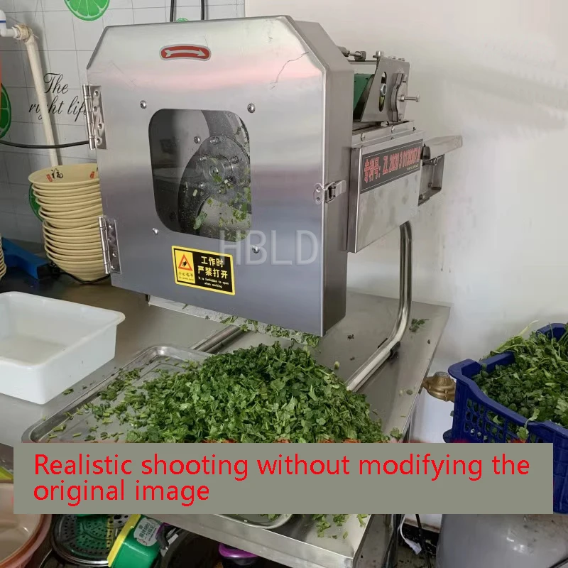 Kleiner Elektrischer Gemüsesch – Kitchen Appliances Green Bewertung und Preis