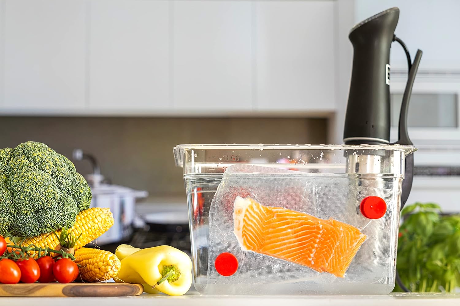 Sous-Vide-Magnete Set mit 8-Le – Sous Vide Immersion Bewertung und Preis
