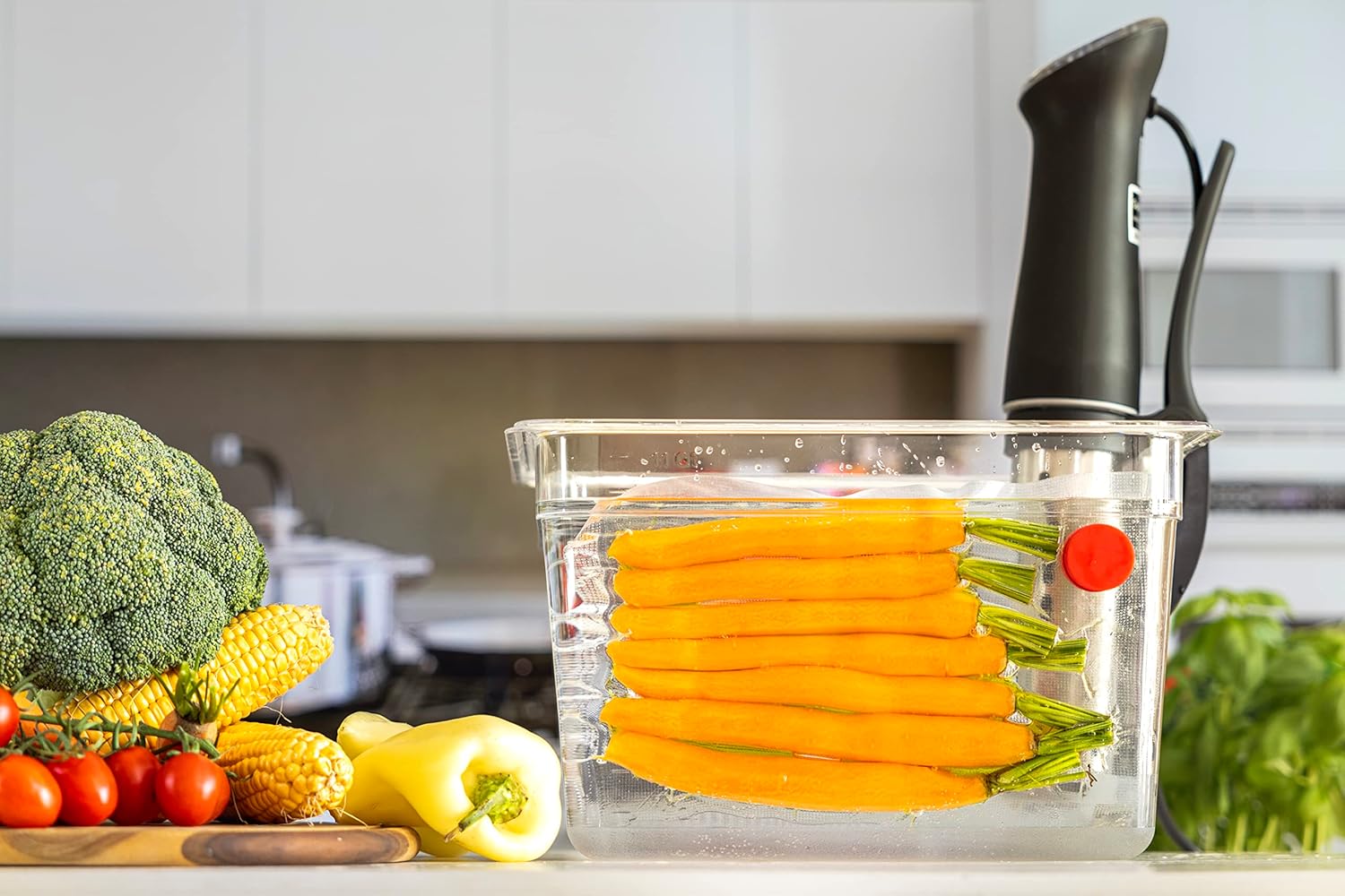 Sous-Vide-Magnete Set mit 8-Le – Sous Vide Immersion Bewertung und Preis