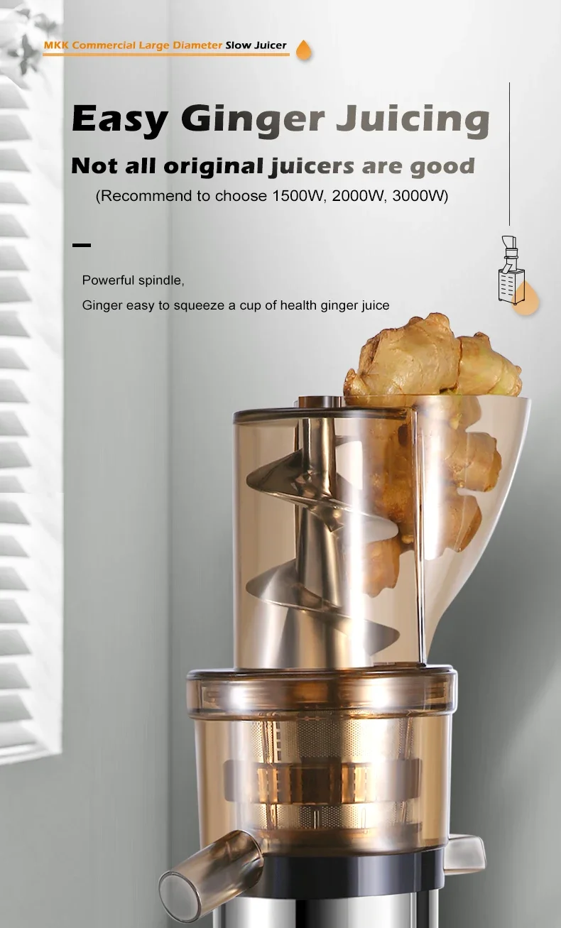 Professionelle Entsafter-Extra – Juicer Cold Press Slow Bewertung und Preis