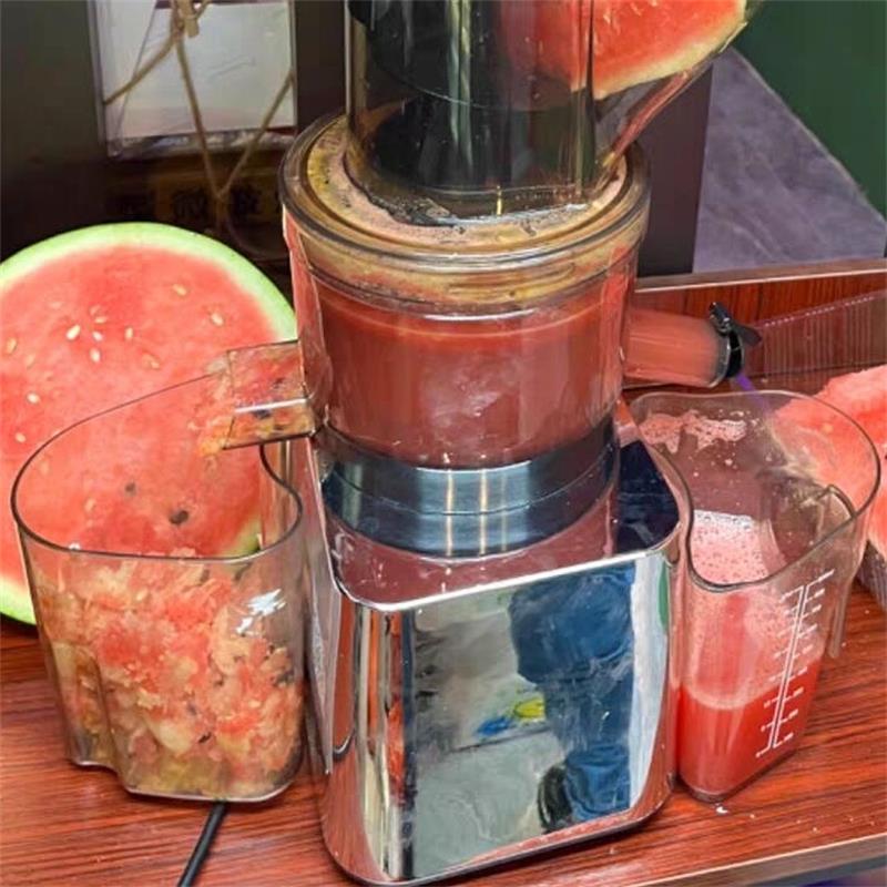 500W Kommerzieller und Haushal – Juicer Cold Press Slow Bewertung und Preis