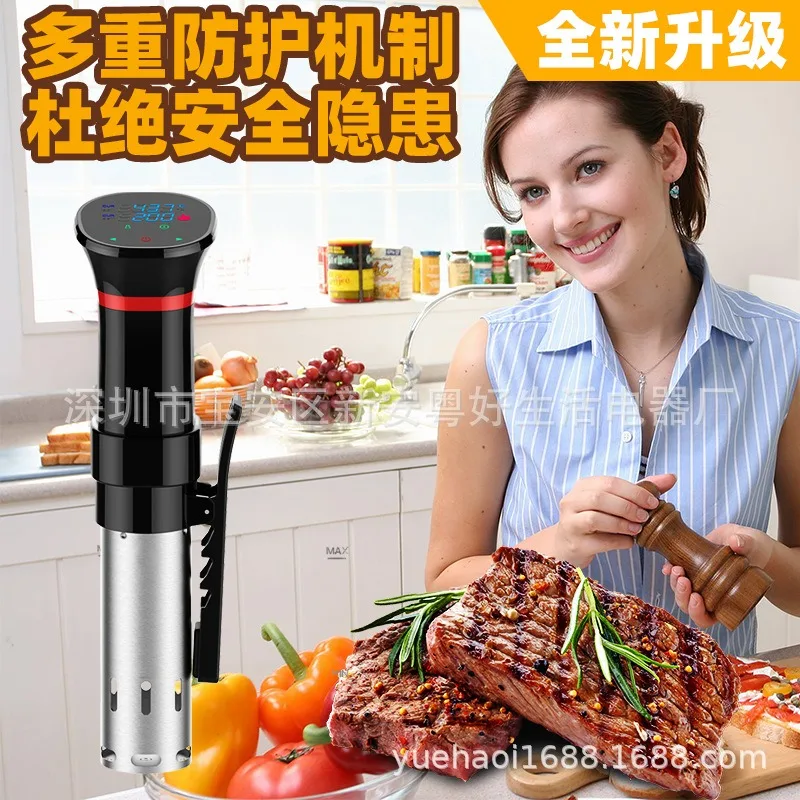 110V-220V Wasserdichter Vakuum – Sous Vide Immersion Bewertung und Preis
