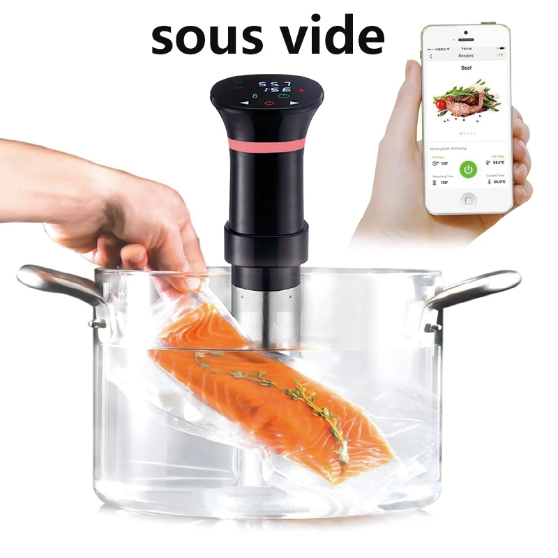 220V Sous Vide Precision Cooke – Sous Vide Immersion Bewertung und Preis