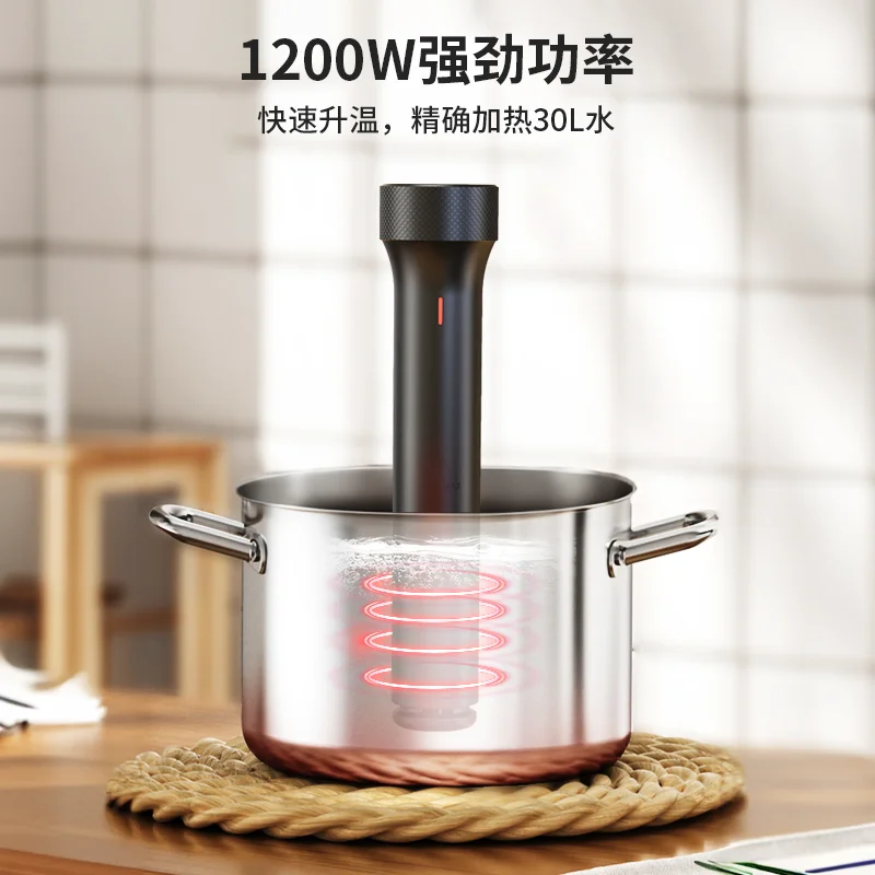 110V/220V WEVAC Sous Vide Präz – Sous Vide Immersion Bewertung und Preis