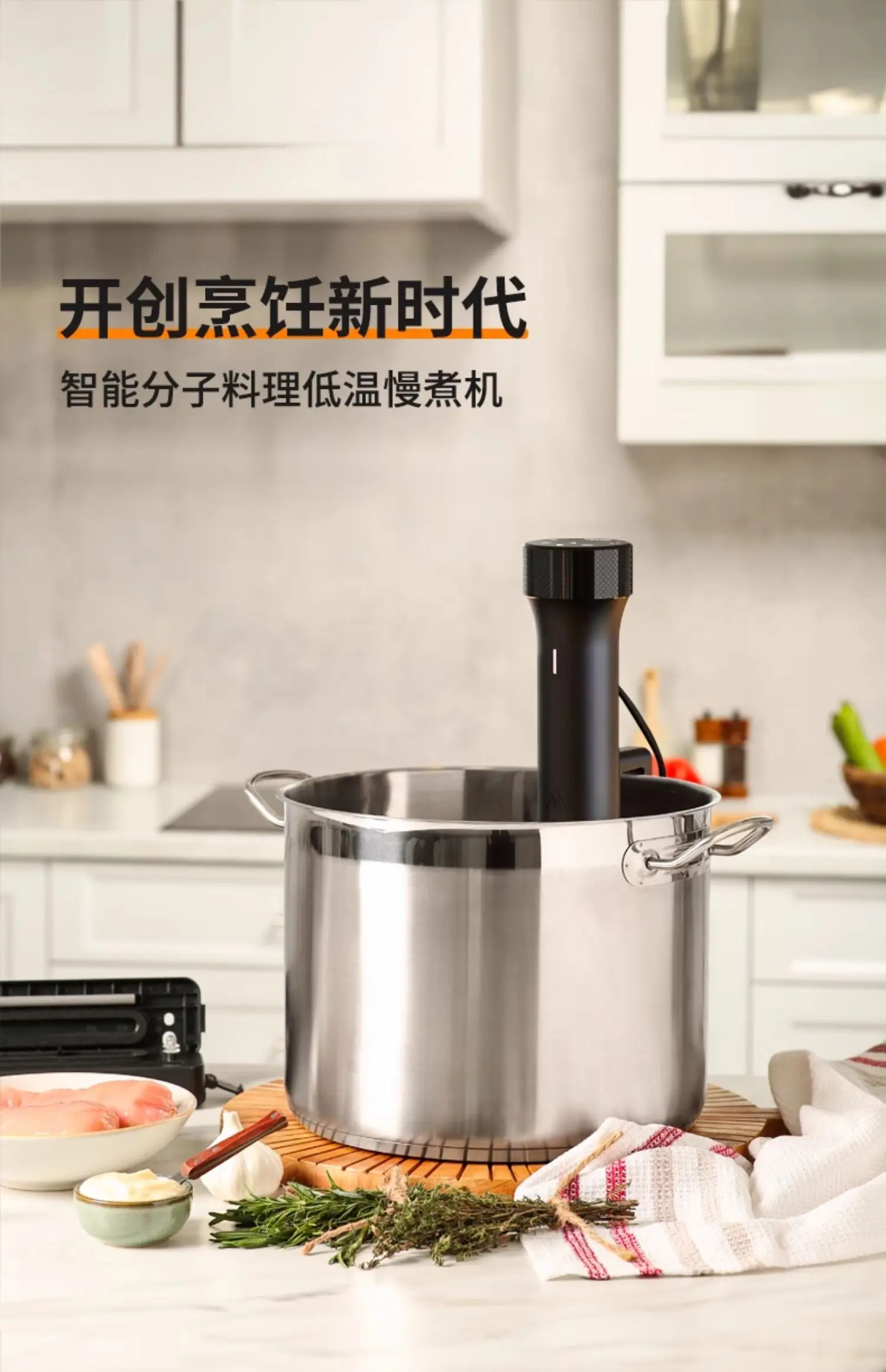 110V/220V WEVAC Sous Vide Präz – Sous Vide Immersion Bewertung und Preis
